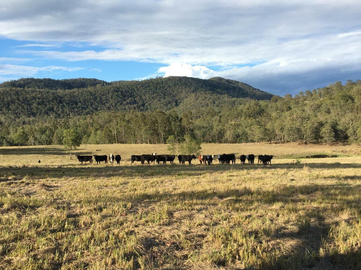 Rural Ambience With Netflix Apartment Mount George Exterior photo